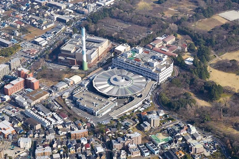⑧世田谷市場