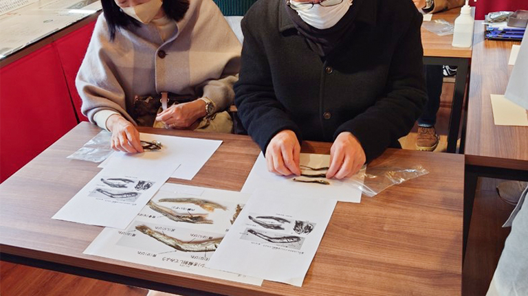 一般社団法人豊洲市場協会おさかなマイスターによる「にぼしの解剖講座」