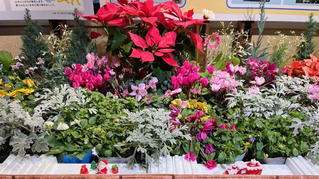 花のある生活を楽しもう!