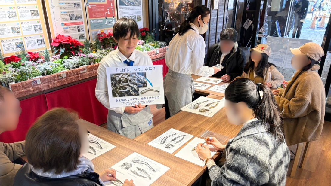 おさかなマイスターによるにぼしの解剖講座