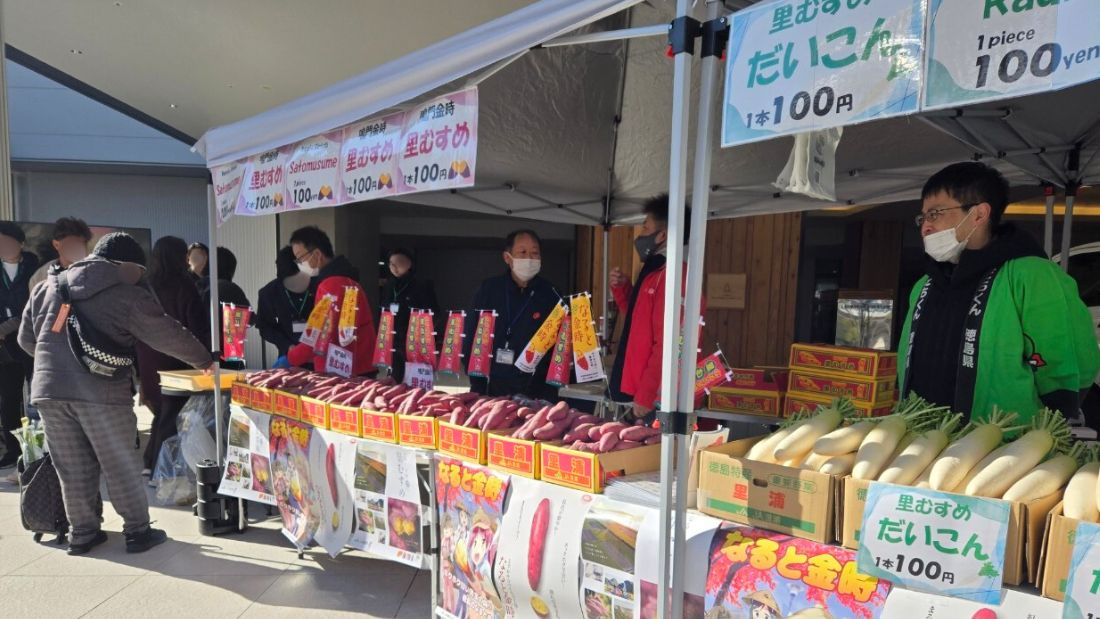 模擬せり体験&徳島県なると金時フェア