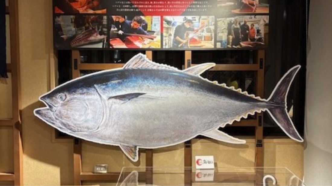 マグロと職人の道具