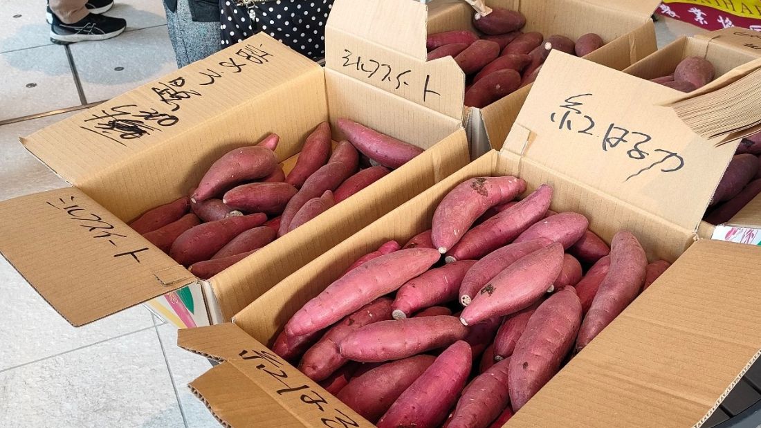 千葉県かとり特産物フェア&新潟県・長野県きのこ主産地合同フェア
