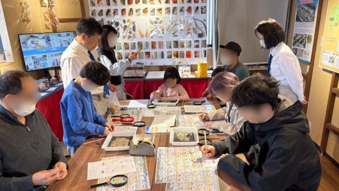 ちりめんじゃこを観察しよう!