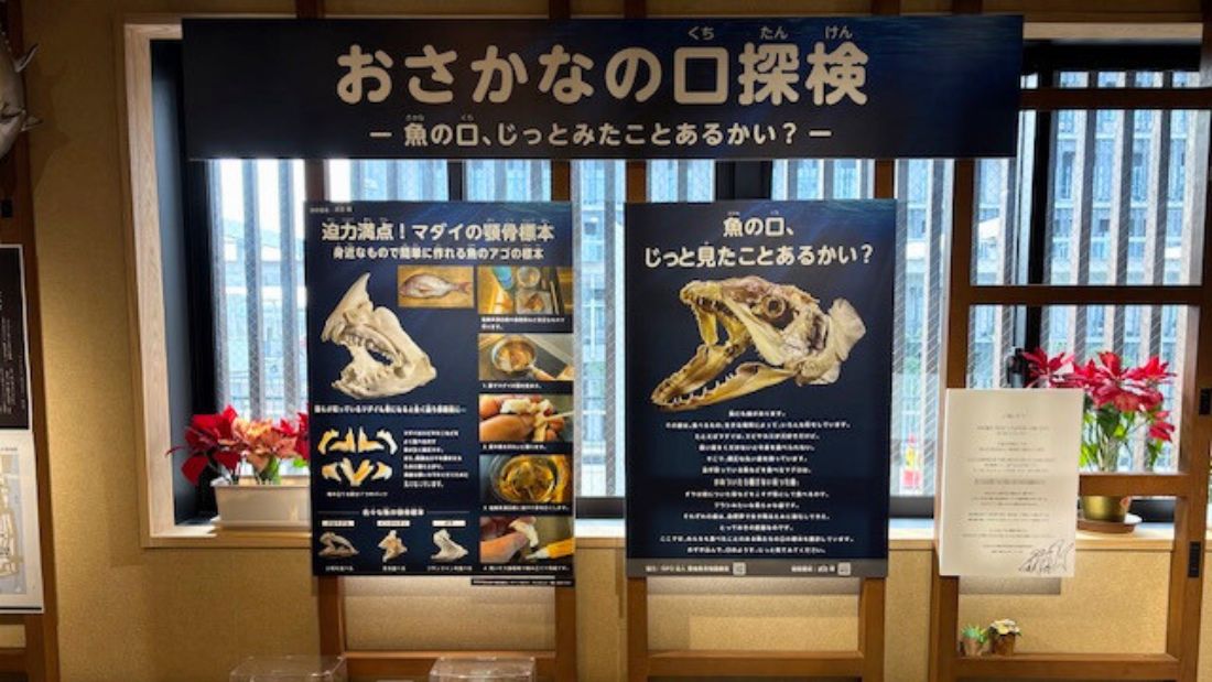 おさかなの口探検2&おさかなの口探検の裏側