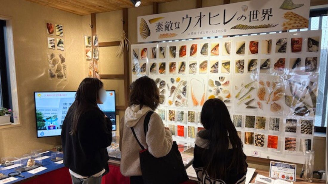 素敵なウオヒレの世界 in 豊洲 千客万来 いちばの広場