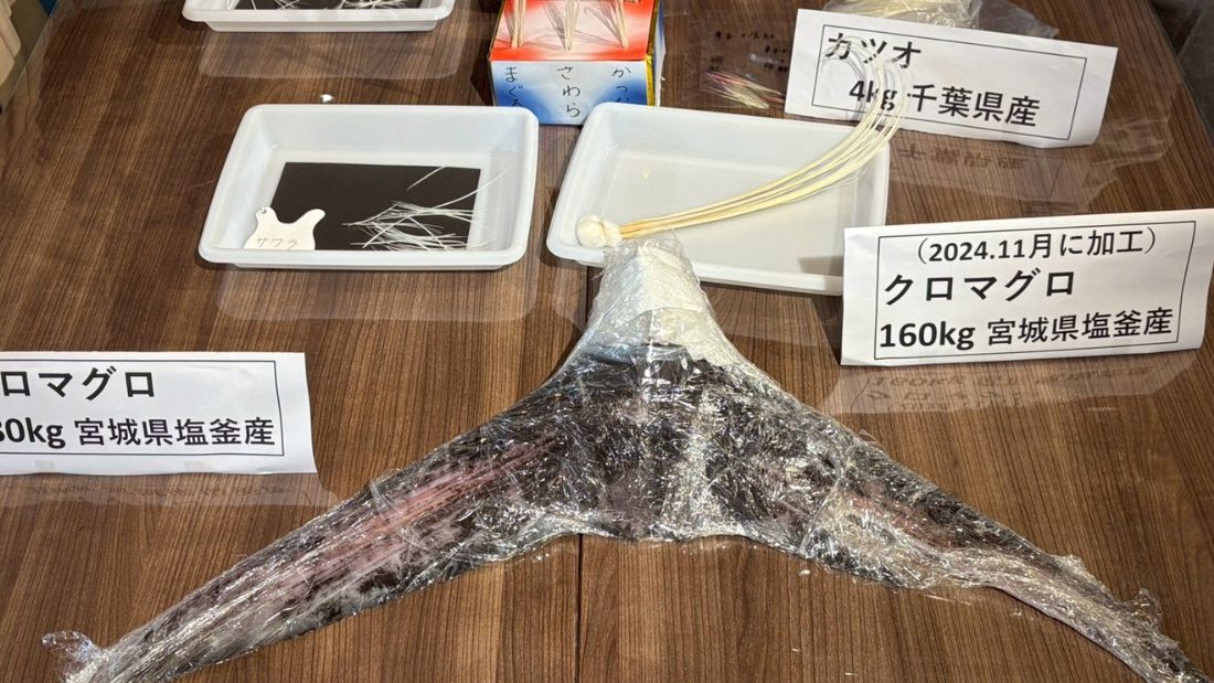 カツオについて知ろう