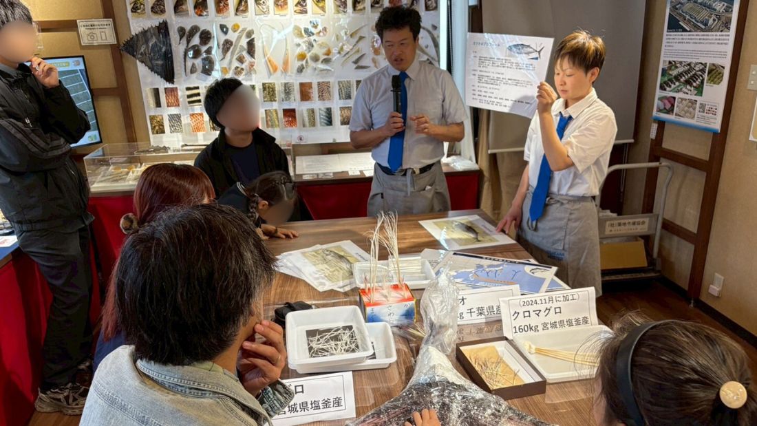 カツオについて知ろう