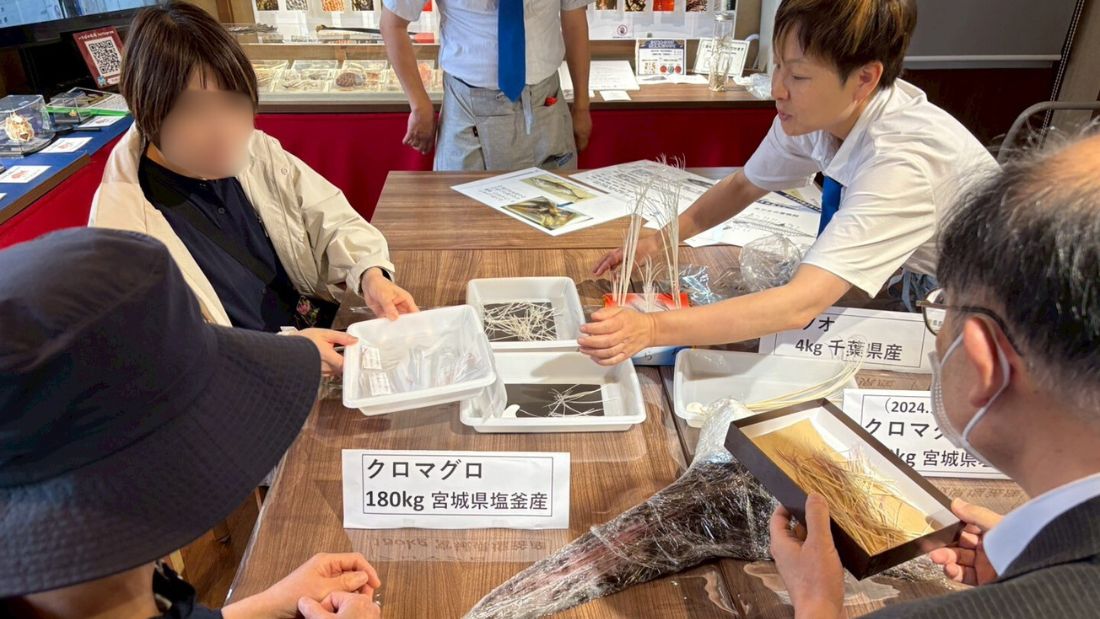 カツオについて知ろう