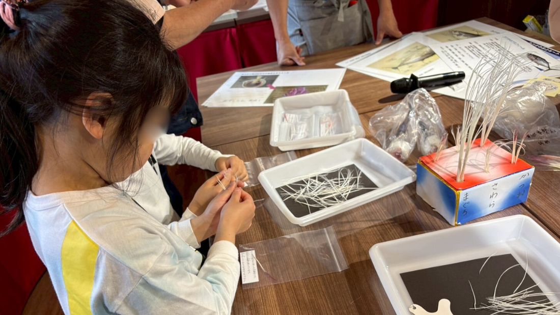 カツオについて知ろう