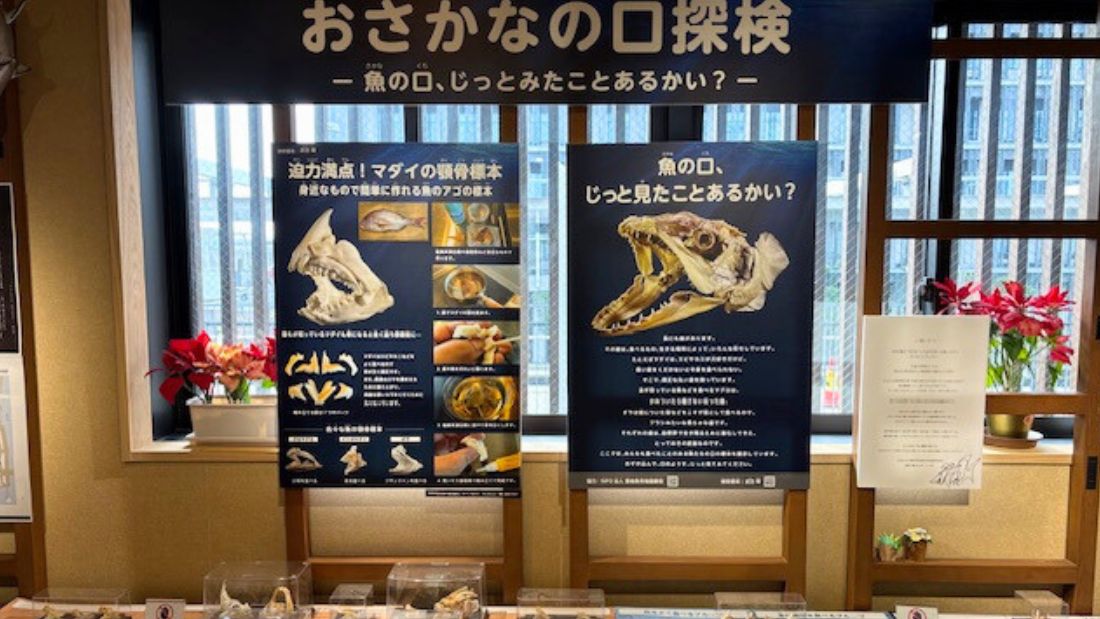 おさかなの口探検2&おさかなの口探検の裏側