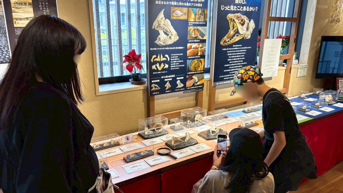 おさかなの口探検2&おさかなの口探検の裏側