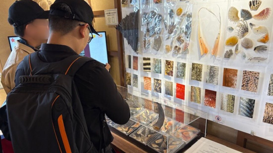 素敵なウオヒレの世界 in 豊洲 千客万来 いちばの広場