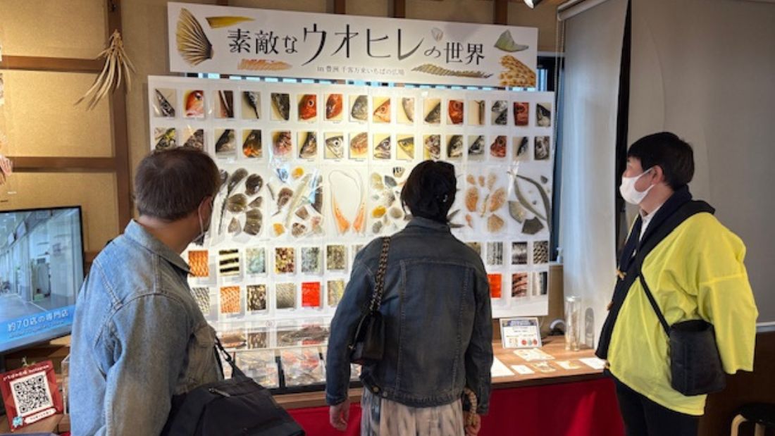 素敵なウオヒレの世界 in 豊洲 千客万来 いちばの広場