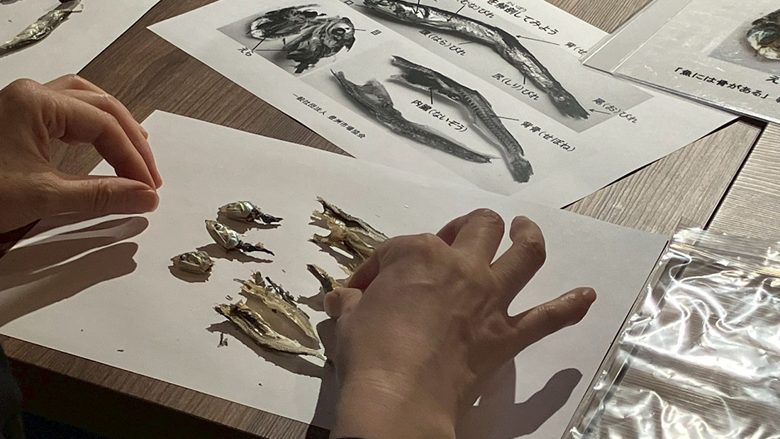 にぼしの解剖講座