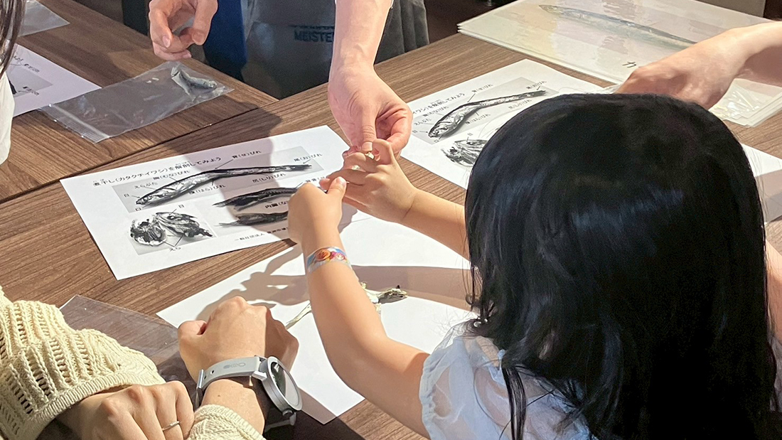 にぼしの解剖講座