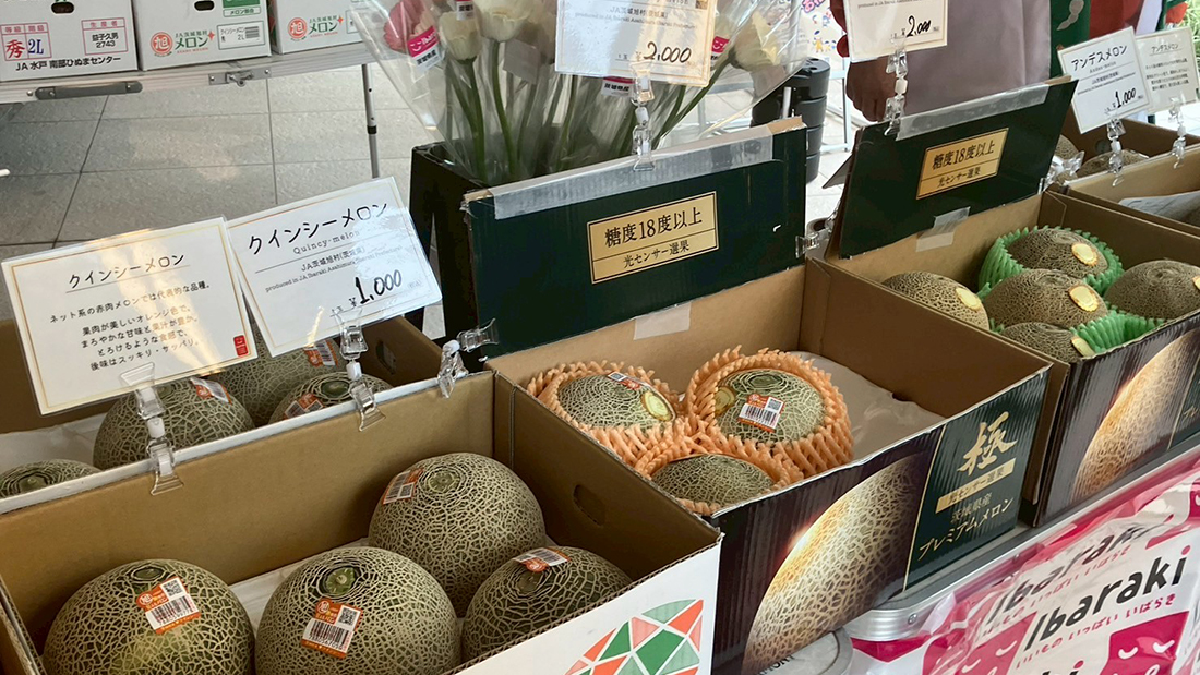 模擬せり体験＆いいものいっぱいいばらき　旬のメロンフェア！