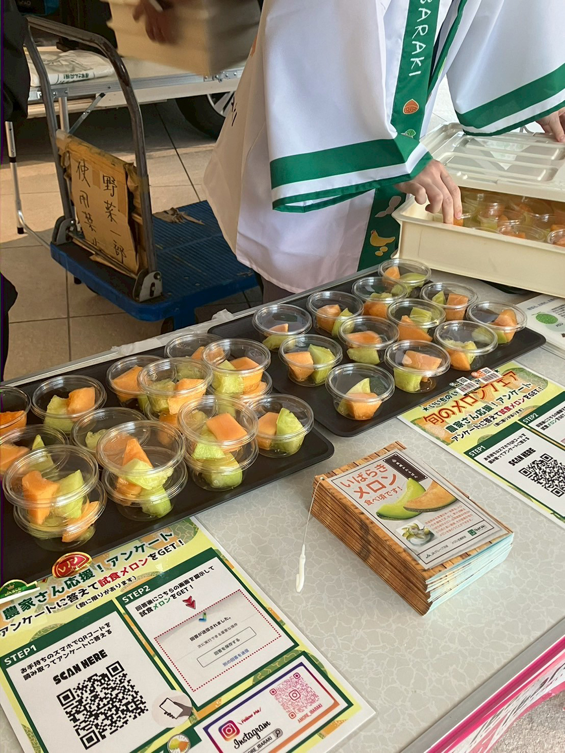 模擬せり体験＆いいものいっぱいいばらき　旬のメロンフェア！