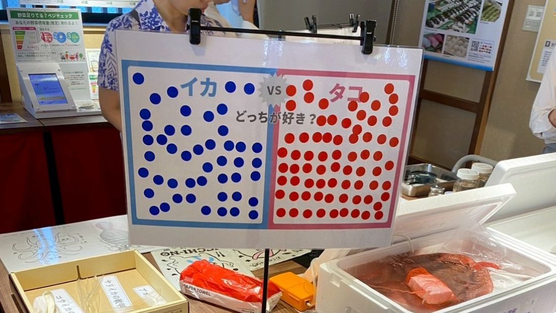 イカ vs タコ その違いを学ぼう