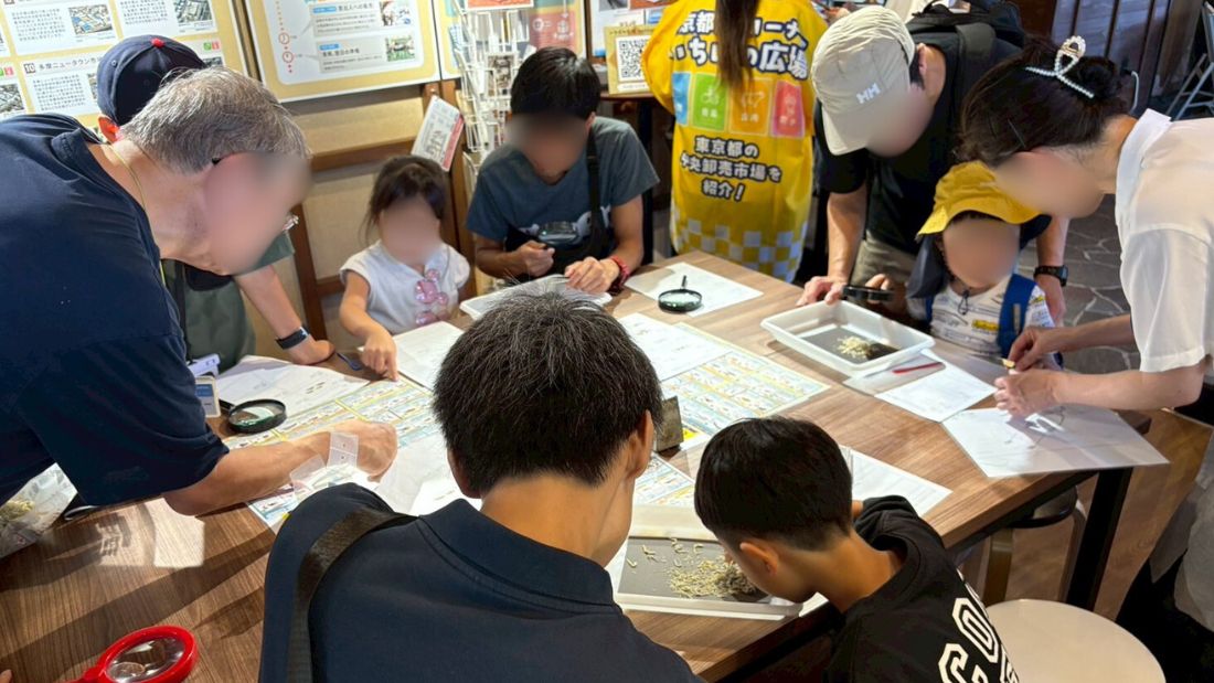 ちりめんじゃこを観察しよう