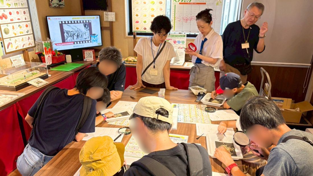 ちりめんじゃこを観察しよう