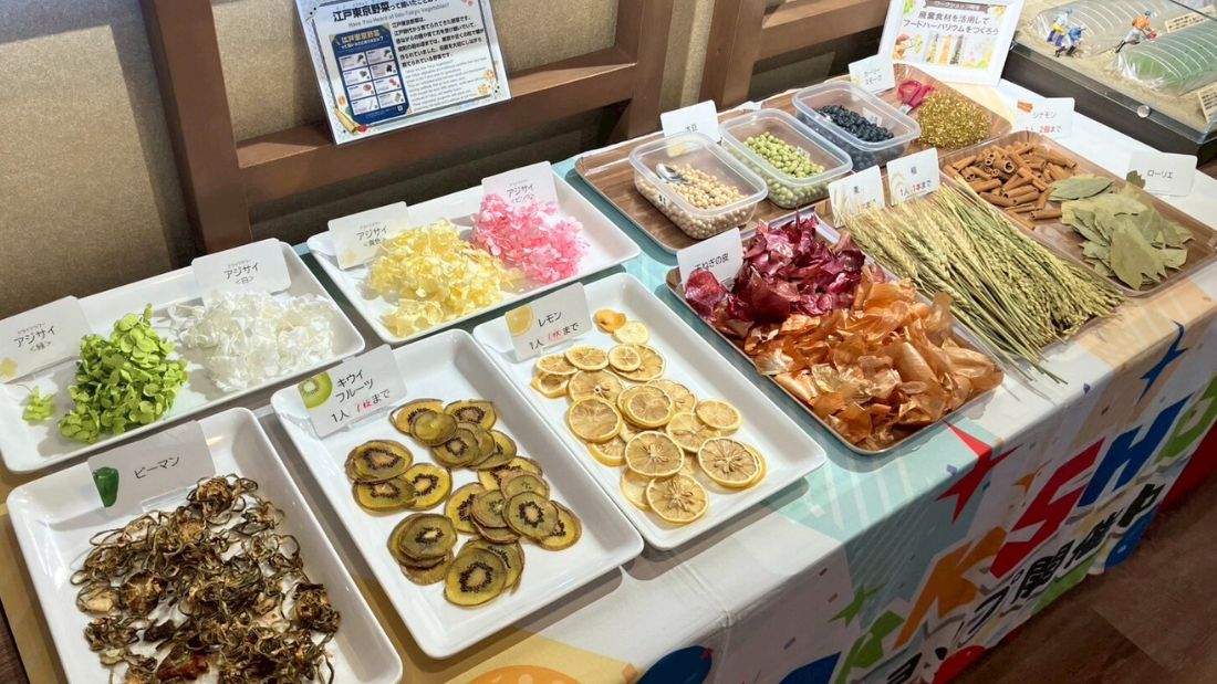 フードハーバリウムづくり体験