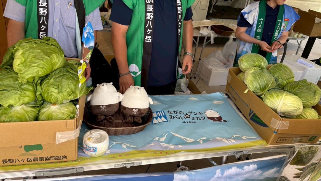 >模擬せり体験＆八ヶ岳高原レタス・嬬恋高原キャベツフェア
