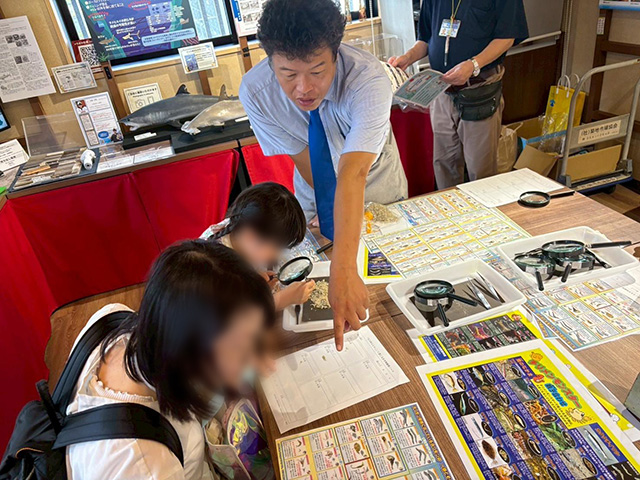 ちりめんじゃこを観察しよう