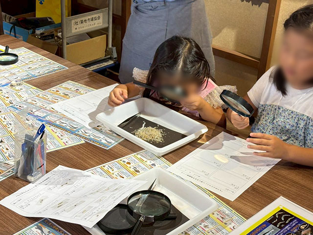 ちりめんじゃこを観察しよう