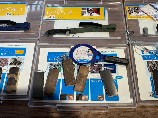 おさかなアートの楽しみ方 紹介