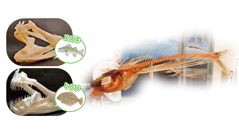 おさかなアート作品展