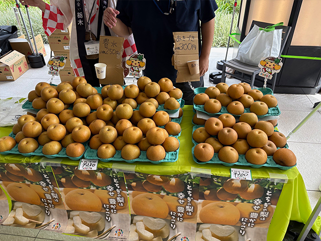 模擬せり体験&五つの柑橘大集合!和柑橘フェス&栃木の梨フェア