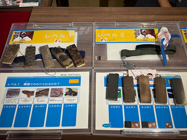 おさかなアートの楽しみ方 紹介