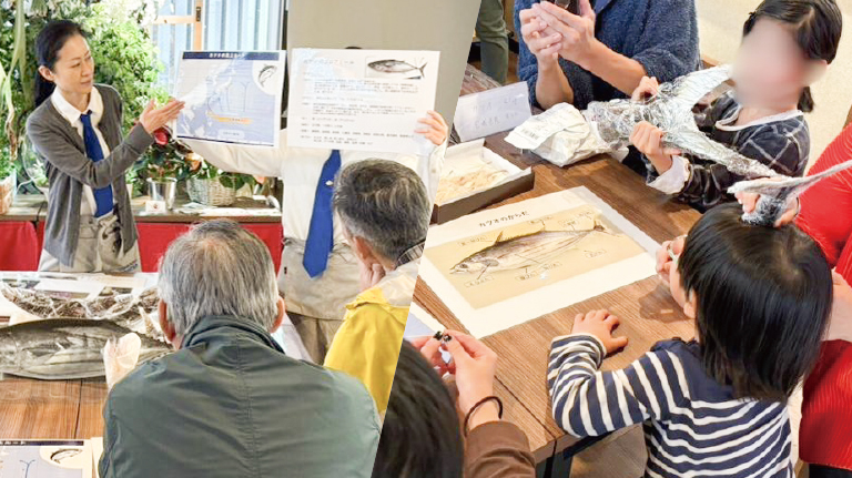 おさかなマイスターによるにぼしの解剖講座