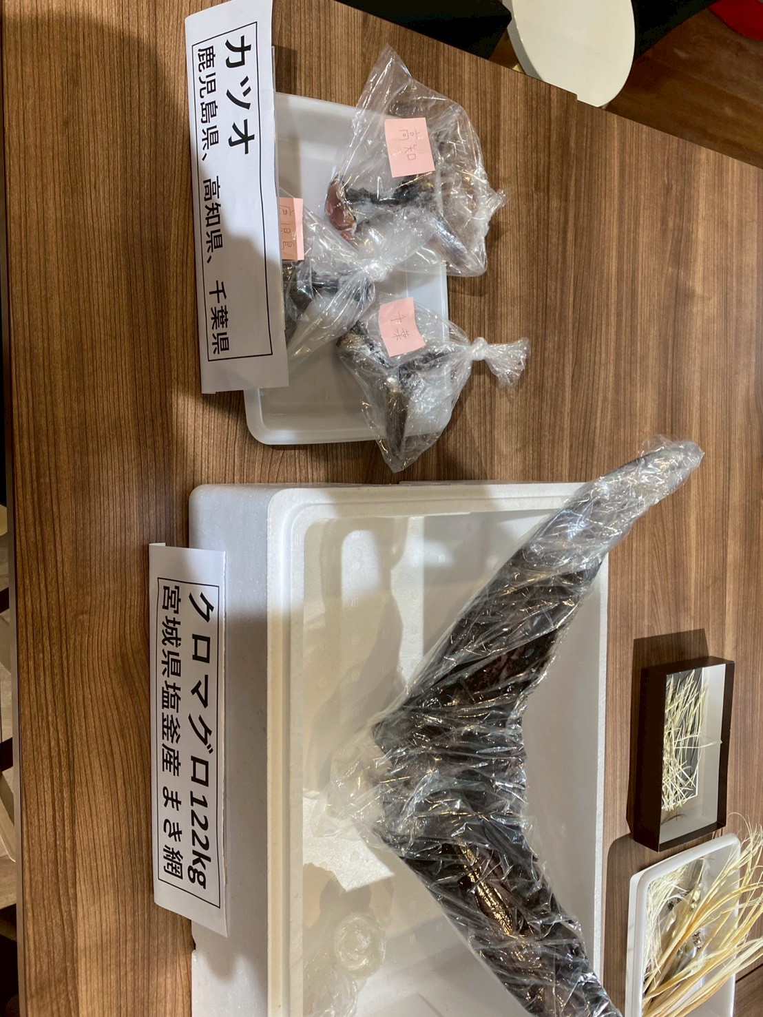 カツオについて知ろう