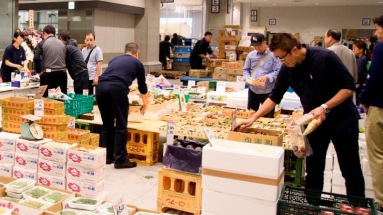 豊洲市場 青果仲卸売場紹介ツアー
