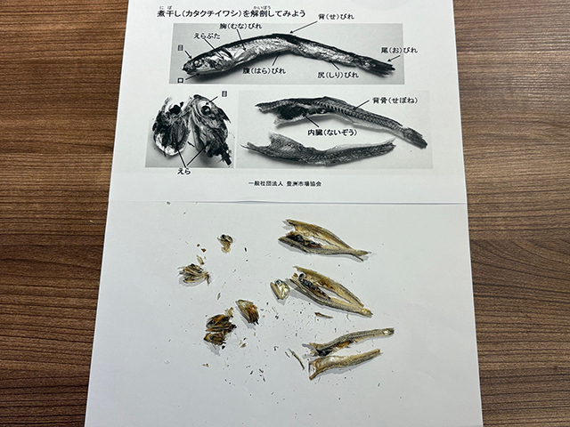 にぼしの解剖講座