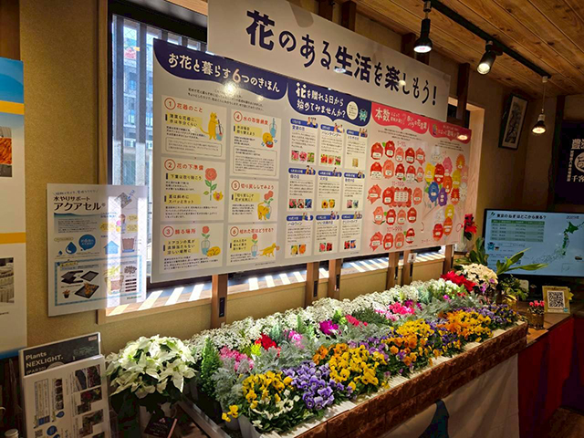 花のある生活を楽しもう