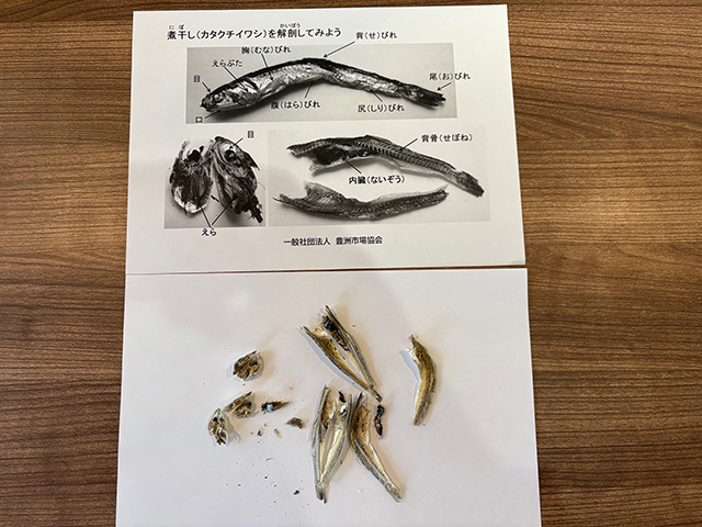 にぼしの解剖講座