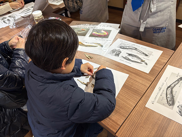 にぼしの解剖講座