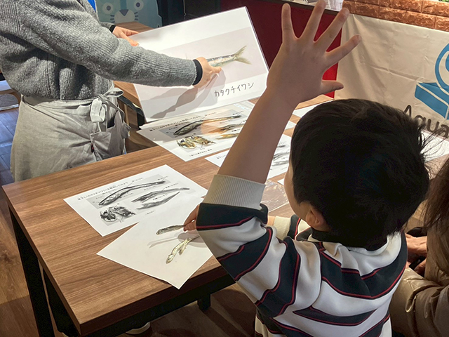 にぼしの解剖講座