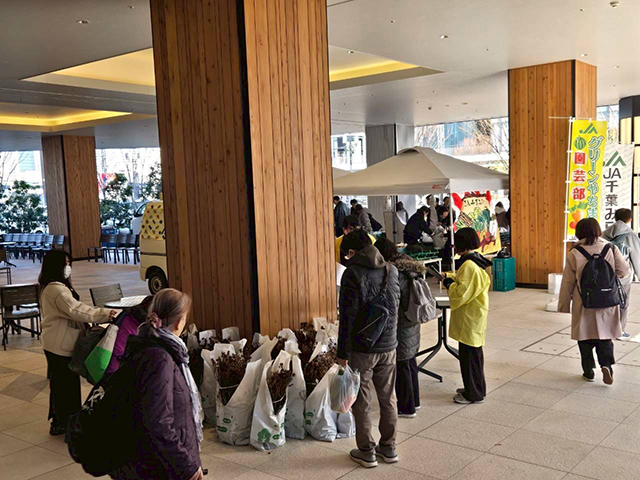 模擬せり体験&徳島県なると金時フェア&千葉みらいフェア