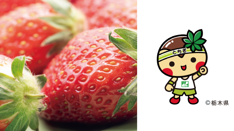 栃木のいちごフェア