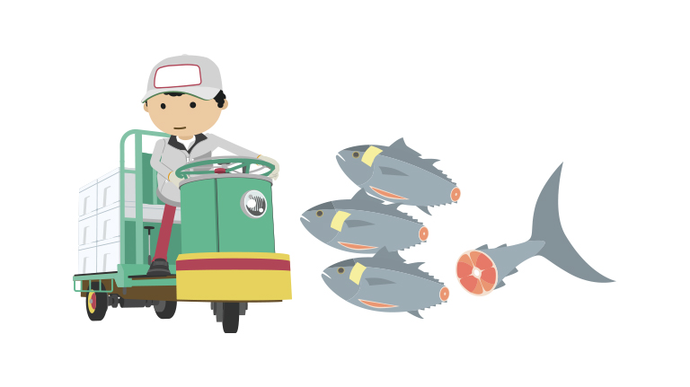 初めての豊洲市場！