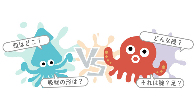 イカ vs タコ その違いを学ぼう